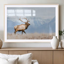 Elk Wall Art Canvas Print – Framed Mountain Wildlife Art by MyGreatCanvas | Canvas Wall Art Prints | Photo Prints & Wall Decor