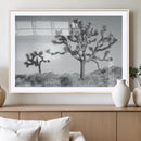 Joshua Tree Wall Art Canvas Print – Framed Black White