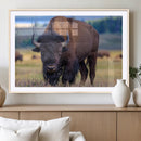 Bison Photography Wall Art Canvas Print – Framed Rustic by MyGreatCanvas | Canvas Wall Art Prints | Photo Prints & Wall Decor