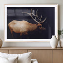 Bull Elk Decor Wall Art Canvas Print – Framed Elk by MyGreatCanvas | Canvas Wall Art Prints | Photo Prints & Wall Decor