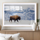 Bison Snow Wall Art Canvas Print – Framed Wildlife Scene by MyGreatCanvas | Canvas Wall Art Prints | Photo Prints & Wall Decor