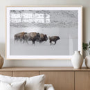 Bison Herd Decor Wall Art Canvas Print – Framed Snowy Bison by MyGreatCanvas | Canvas Wall Art Prints | Photo Prints & Wall Decor
