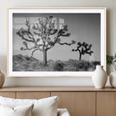 Joshua Tree Wall Art Canvas Print, Framed Monochrome Desert by MyGreatCanvas | Canvas Wall Art Prints | Photo Prints & Wall Decor
