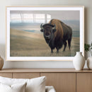Bison Wall Art Canvas Print – Framed Buffalo Canvas Picture by MyGreatCanvas | Canvas Wall Art Prints | Photo Prints & Wall Decor