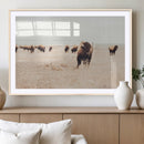 Bison Herd Wall Art Canvas Print – Framed Western Prairie