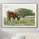 Texas Longhorn Wall Art Canvas Print – Rustic Western Ranch by MyGreatCanvas | Canvas Wall Art Prints | Photo Prints & Wall Decor