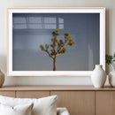Joshua Tree Wall Art Canvas Print – Framed Southwestern by MyGreatCanvas | Canvas Wall Art Prints | Photo Prints & Wall Decor