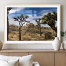 Joshua Tree Desert Wall Art Canvas Print – Framed by MyGreatCanvas | Canvas Wall Art Prints | Photo Prints & Wall Decor
