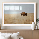 Buffalo Wall Art Canvas Print – Framed Western Wildlife by MyGreatCanvas | Canvas Wall Art Prints | Photo Prints & Wall Decor