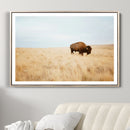 Buffalo Wall Art Canvas Print – Framed Western Wildlife