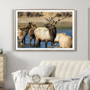 Wild Elk Wall Art Canvas Print – Framed Neutral Wildlife