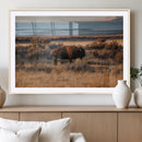 Western Framed Bison Wall Art Canvas Print by MyGreatCanvas | Canvas Wall Art Prints | Photo Prints & Wall Decor