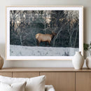 Wild Elk Wall Art Canvas Print – Framed Winter Wildlife by MyGreatCanvas | Canvas Wall Art Prints | Photo Prints & Wall Decor