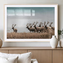Elk Herd Wall Art Canvas Print – Framed Wildlife Photography