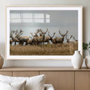 Elk Herd Wall Art Canvas Print – Framed Wildlife Photography