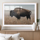 American Bison Wall Art Canvas Print – Majestic Buffalo