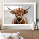 Scottish Highland Cow Canvas Print, Framed Highland Cow