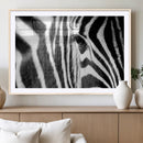 Zebra Stripes Wall Art Canvas Print – Black White Contrast by MyGreatCanvas | Canvas Wall Art Prints | Photo Prints & Wall Decor