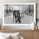 Moose Wall Art Canvas Print – Winter Snowy Forest Antlers by MyGreatCanvas | Canvas Wall Art Prints | Photo Prints & Wall Decor