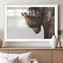 Grizzly Bear Canvas Wall Art Print – Framed Wildlife Nature by MyGreatCanvas | Canvas Wall Art Prints | Photo Prints & Wall Decor