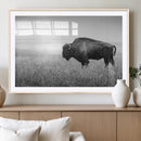 Black White Bison Canvas Wall Art, Rustic American Buffalo by MyGreatCanvas | Canvas Wall Art Prints | Photo Prints & Wall Decor
