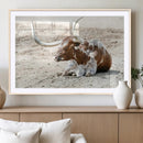 Majestic Longhorn Wall Art Canvas Print – Resting on Sunlit by MyGreatCanvas | Canvas Wall Art Prints | Photo Prints & Wall Decor