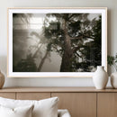 Misty Forest Wall Art Canvas Print, Tall Trees and Foggy by MyGreatCanvas | Canvas Wall Art Prints | Photo Prints & Wall Decor