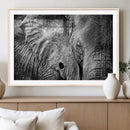 Wild Old Elephant Wall Art Canvas Print