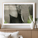 Wild Elephant Wall Art Canvas Print by MyGreatCanvas | Canvas Wall Art Prints | Photo Prints & Wall Decor