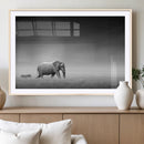 Elephand and Zebra Wall Art Canvas Print, Modern Artwork