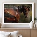 Majestic Brown Horse Wall Art Canvas Print – Framed