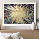 Tree and Sunshine Canvas Print