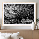 Mighty Angel Oak Wall Art | Angel Oak Tree Art Print by MyGreatCanvas | Canvas Wall Art Prints | Photo Prints & Wall Decor