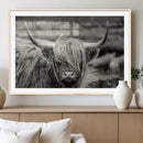 Cow Focus Canvas Wall Art Print by MyGreatCanvas | Canvas Wall Art Prints | Photo Prints & Wall Decor
