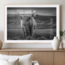 Fluffy Cattle Wall Art Print, Highland Cow Canvas, Framed by MyGreatCanvas | Canvas Wall Art Prints | Photo Prints & Wall Decor