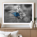 Blue Butterfly Black and White Canvas Wall Art by MyGreatCanvas | Canvas Wall Art Prints | Photo Prints & Wall Decor