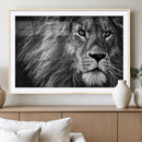 Black and White Lion Canvas Wall Art Print – Wildlife
