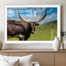 Longhorn and Cow Wall Art, Country Cow Wall Decor Canvas by MyGreatCanvas | Canvas Wall Art Prints | Photo Prints & Wall Decor