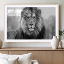 Black and White Lion Canvas Wall Art – Animal Print Artwork