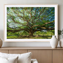 Majestic Oak Tree Wall Art – Serene Nature Canvas Print with