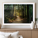 Sunlit Forest Pathway Canvas Print | 3 Panel Large Nature by MyGreatCanvas | Canvas Wall Art Prints | Photo Prints & Wall Decor
