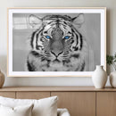Black and White Tiger Wall Art Animal Canvas Print