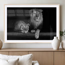 Lion Family Wall Art Canvas Print – Framed Majestic Wildlife by MyGreatCanvas | Canvas Wall Art Prints | Photo Prints & Wall Decor