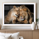 Lion and Lioness Wall Art Canvas Print – Framed African