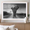 Black and White Elephant Wall Art Canvas Print