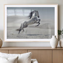 Prancing Horse Desert Large Wall Art Canvas Print – Majestic
