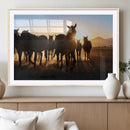 Horse Herd Wall Art Animal Canvas Print