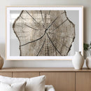 Abstract Wood Tree Ring Wall Art - Ready to Hang Minimalist