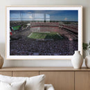 South Carolina Gamecocks Football Team Print - Columbia