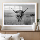 Texas Cow Longhorn Wall Art Canvas Print for Farm House Wall